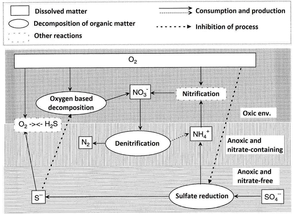 Figur 18. Schematic illustration of the processes included in the NIVA Fjord model to represent decomposition of organic matter and oxygen consumption.