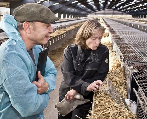 Sertifisering Helsetjeneste for pelsdyr Avtale mellom veterinær og pelsdyrbonde ca.