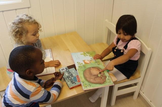 Å støtte barns språk er en av barnehagenes kjerneområder, og er fremhevet i nytt strategidokument og ny rammeplan. Inkluderende språkfellesskap er en videreføring av utviklingsarbeidet Være Sammen.