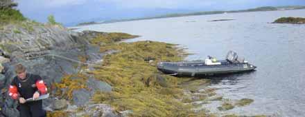 St 3 Substrat: Kupert strandsone og fjell med mange små sprekker gir gode fysiske vekstbetingelser. Vegetasjon: 4 vegetasjonssoner.