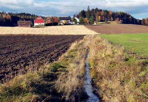 Regionen er liten og har sin hovedutbredelse i Dalsland og Värmland i Sverige.