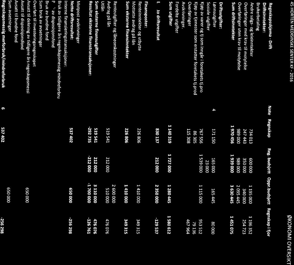 13/17 Horten Medisinske Senter KF - særregnskap 2016. - 17/00104-1 Horten Medisinske Senter KF - særregnskap 2016.