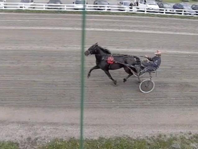 Løp 3 Borgenbuas løp - DNTs pokal Kaldblods. 3-årige norskfødte. Tillegg 20 m ved vunnet 3 års pokal. Tillegg 20 m ved kr. 5.000, - 40m ved kr. 20.000,- 60 m ved kr. 40.000, - 80 m ved kr. 100.