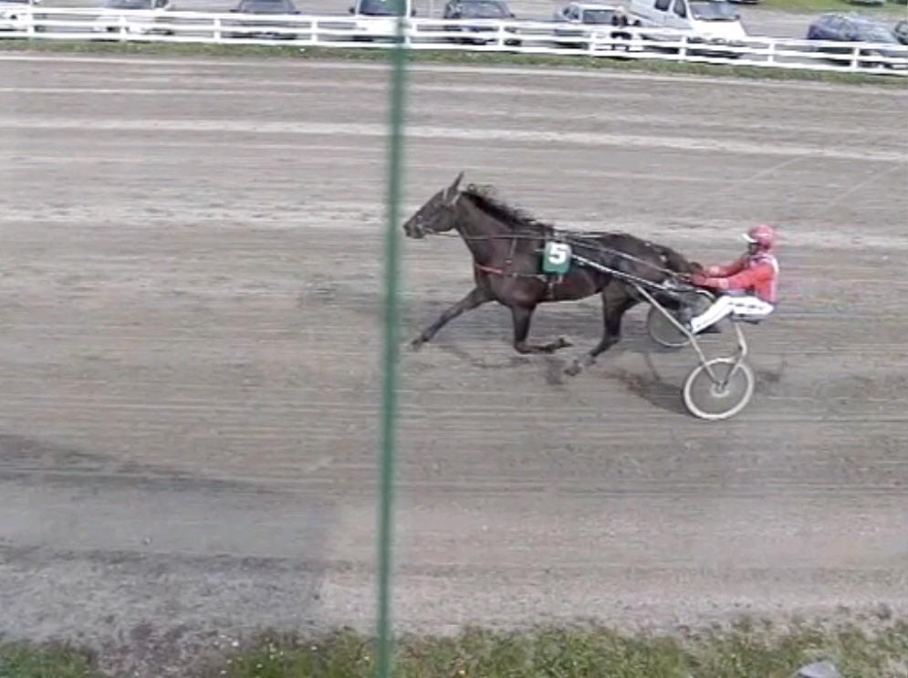 Løp 4 FRAMA bildelers løp - DNTs pokal Varmblods. 3-årige norskfødte. Tillegg 20 m ved vunnet 3 års pokal. Tillegg 20 m ved kr. 5.000, - 40m ved kr. 20.000,- 60 m ved kr. 40.000, - 80 m ved kr. 100.