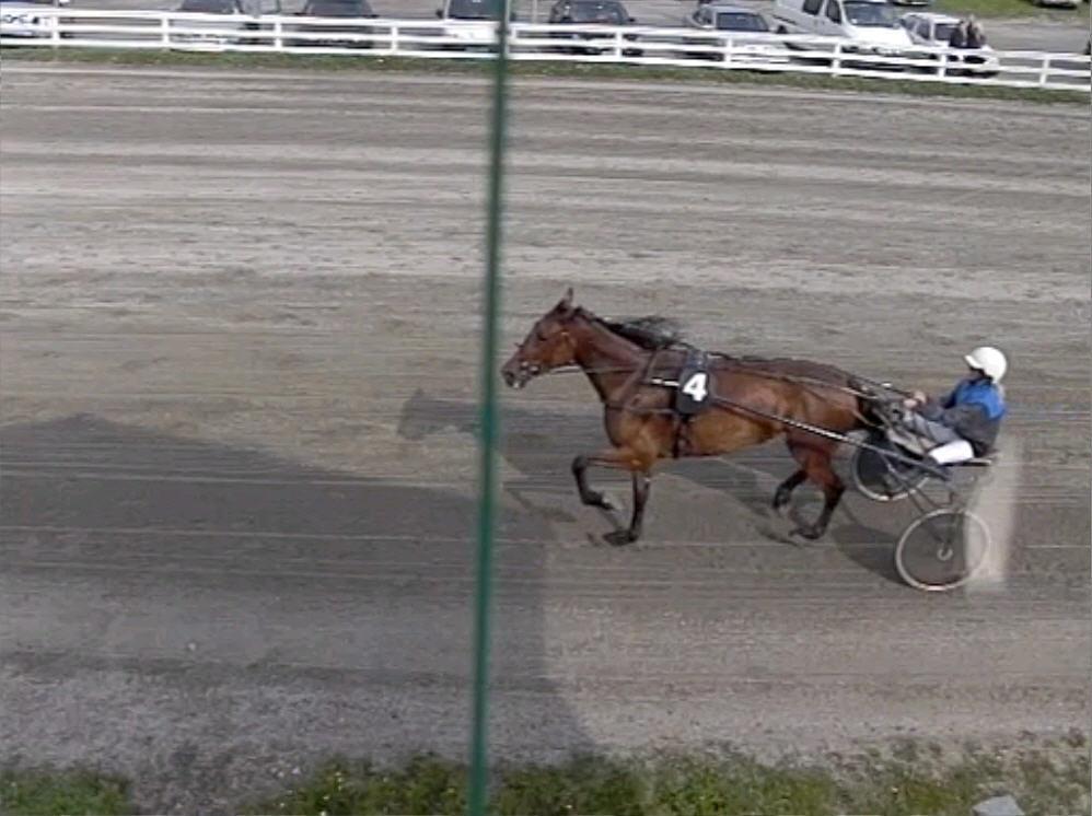 Løp 6 Tune utemiljøs løp Varmblods. 3-årige og eldre. Tillegg 20 m ved kr. 1.000, - 40 m ved kr. 10.000. Stengt ved kr. 20.000. Nr Startnr. Navn Alder Eier Kusk Dist. Km. Anv.