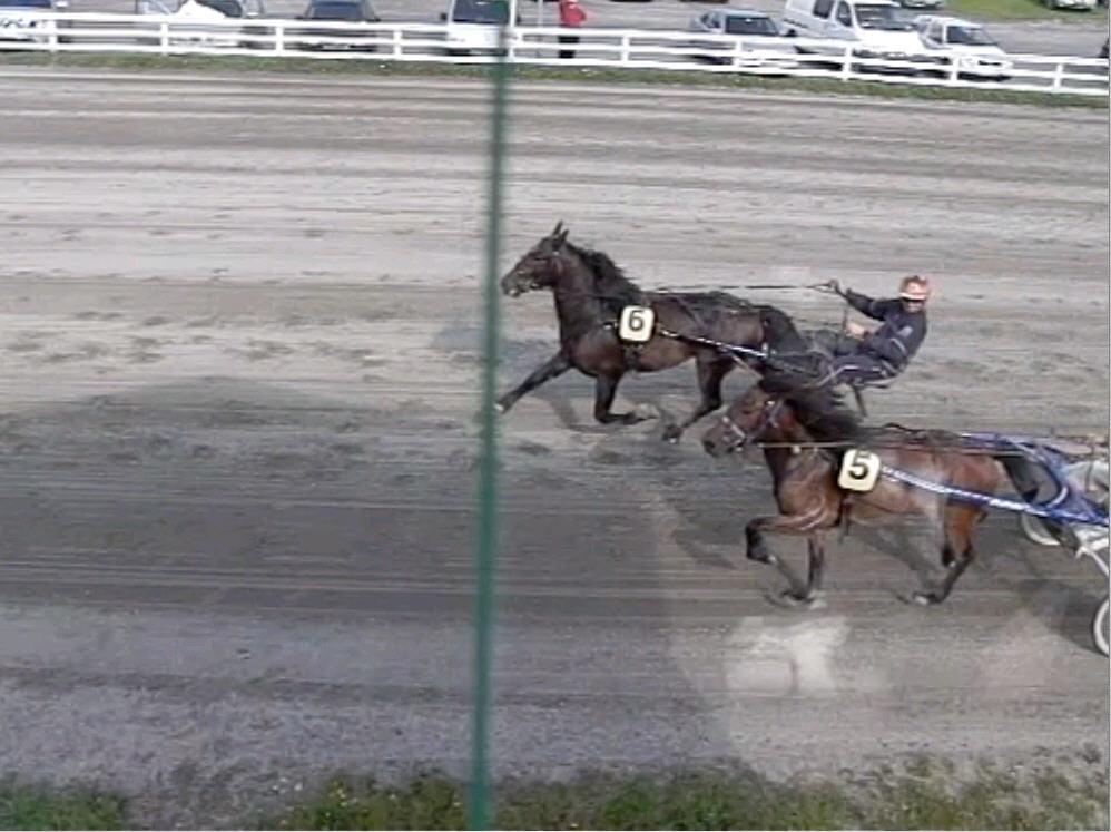 Løp 7 Luft Teknikk ventilasjonsentreprenørs løp Kaldblods. 3-årige og eldre upremierte Km. Anv. Nr Startnr. Navn Alder Eier Kusk Dist. 1 Nr 6 Mjølner Komet 3 Halden Jan Roar Mjølnerød 1900 1.