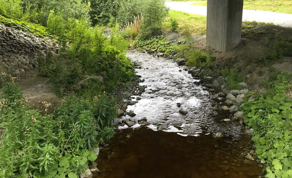 Ratbekken er et langt og opprinnelig betydningsfullt sjøørretvassdrag i nedre del av Gaula. Undersøkelse av en stasjon i nedre del er for lite til å kunne vurdere situasjonen i bekken som helhet.