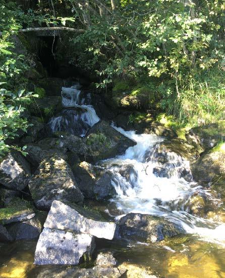 5.2.7 Skjerva/Ørbekken Skjerva, også kalt Ørbekken, er lokalisert ved Hovin (ovenfor Gaulfossen), og er overvåket jevnlig de siste årene.