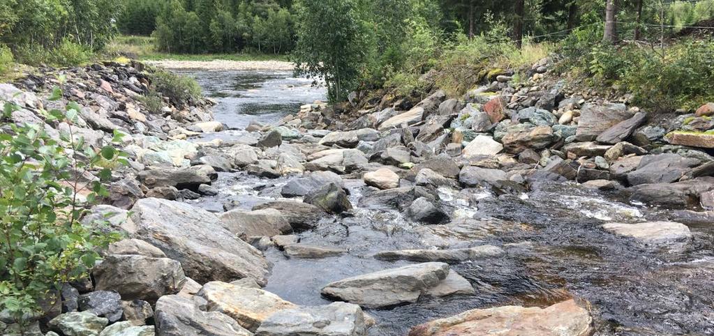 Ved lav og middels vannføring renner elva under elvebunnen og mellom storstein, og på høy vannføring og flom blir vannhastigheten trolig for høy kombinert med sprang for at oppgang skjer.