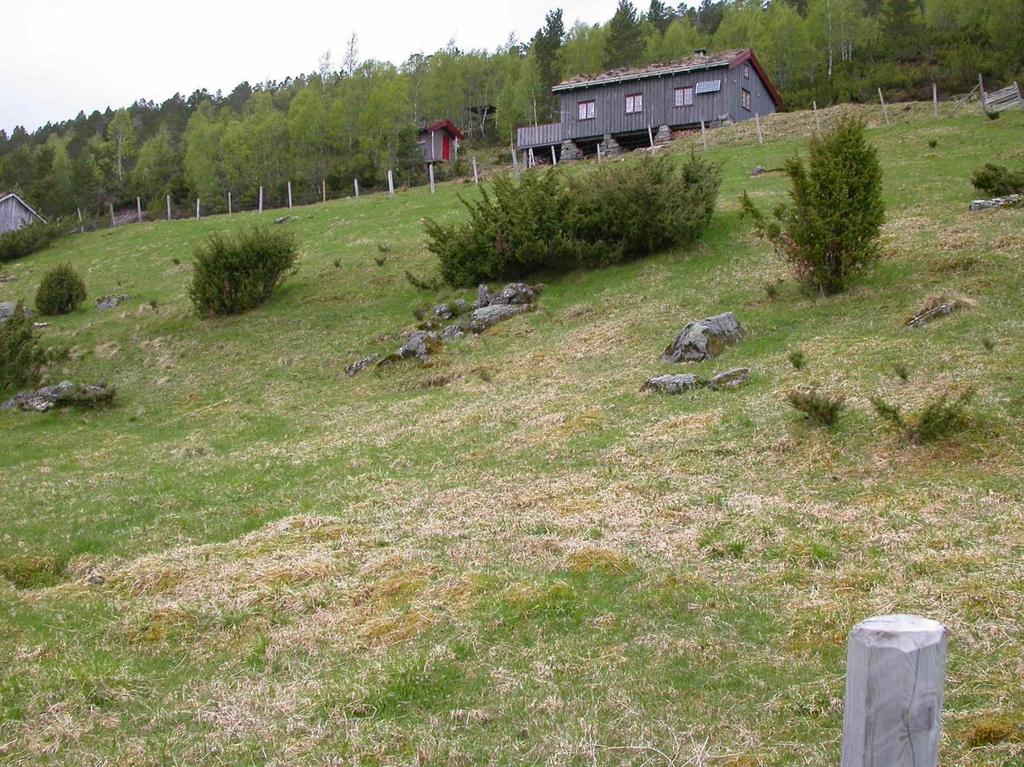 kommune, Møre og Romsdal