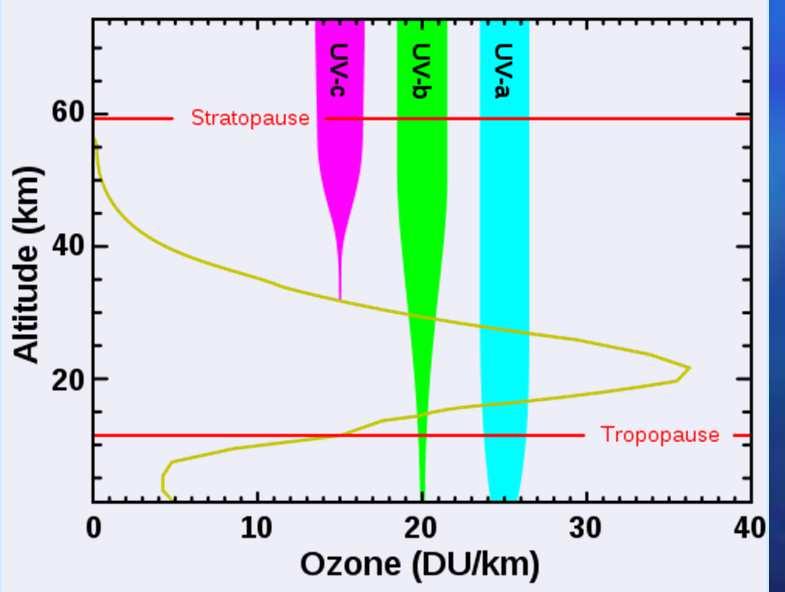 Observasjoner i ultrafiolett UV dekker bølgelengdeområdet fra 10 400 nanometer.