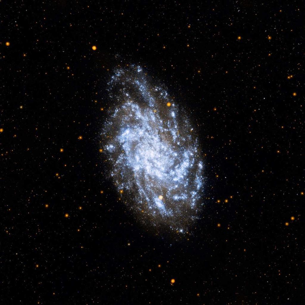 M82 Nydannede stjerner i