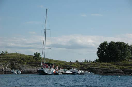 VANNSYSTEMER SEPTIK TØMMEPUMPE - 49 LITER - SHURFLO MACERATOR PUMPS For tømming av septiktanker Ideell også for tømming av fiske bokser Selvsugende Monteres så nærme tanken som mulig.