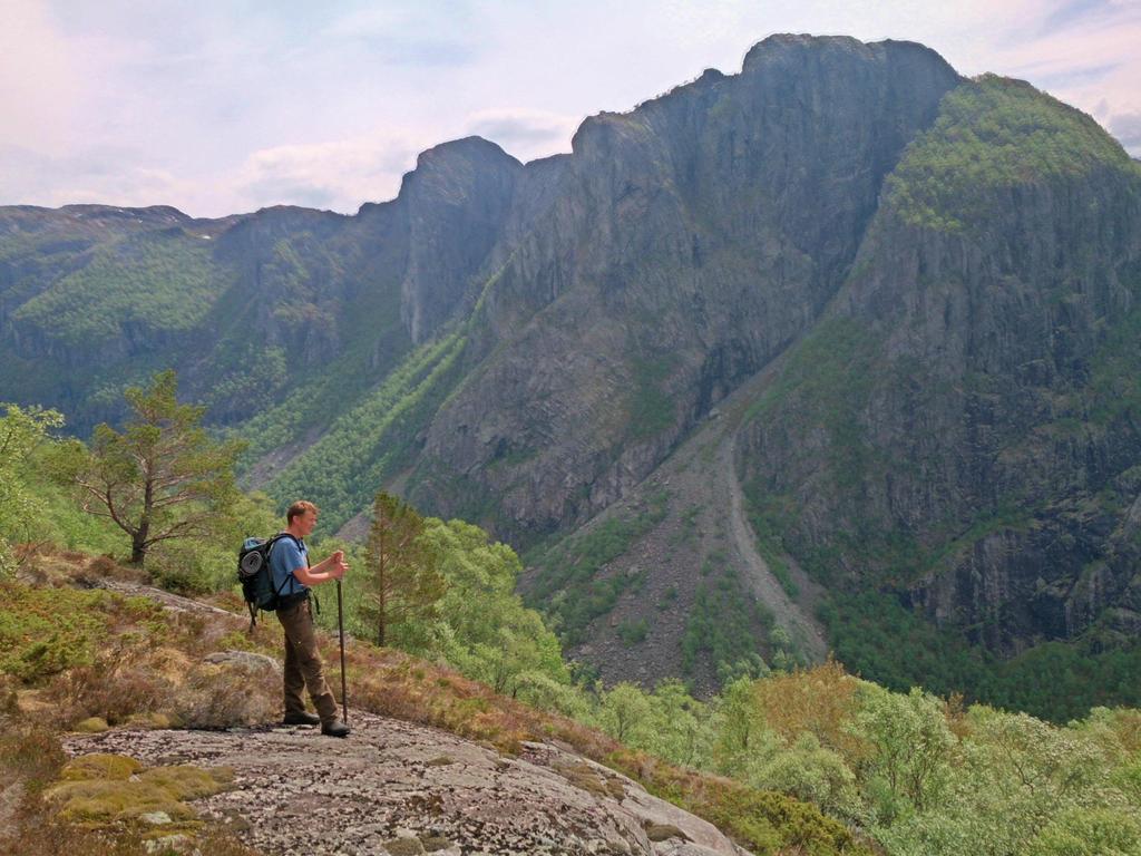 EN OG DENS VIRKEMIDLER Trond Berge,