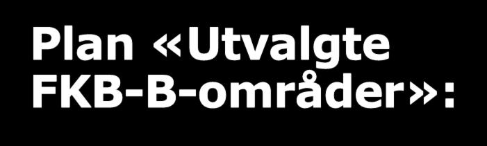 Plan «Utvalgte FKB-B-områder»: KV Hamar lager utkast til avgrensning.