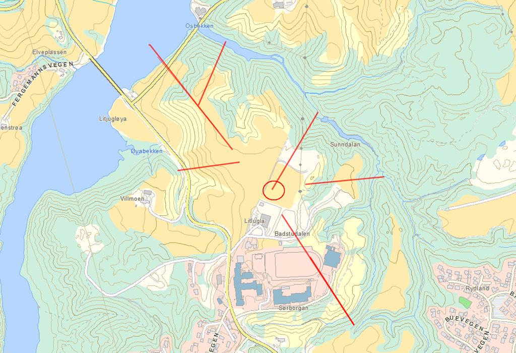 SONEUTREDNING/ UTREDNING AV OMRÅDESTABILITET En utredning av hele faresonen, dvs.