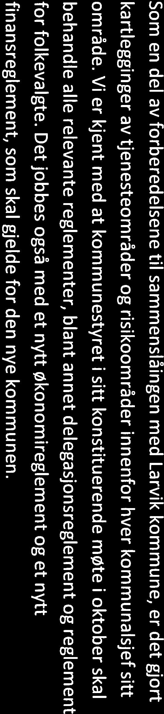 Formålet er å sikre at kommunen har den ønskede utviklingen, at lover og regler overholdes, at det er kvalitet og effektivitet i tjenestene og at kommunens omdømme og legitimitet ikke svekkes (KS).