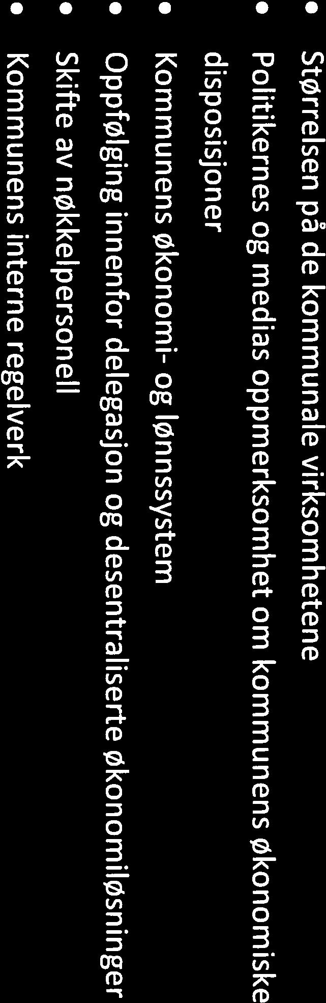 Detaljene i planene er revisjonens interne arbeidspapirer og skal ikke behandles politisk. Vi gjengir likevel hovedpunktene i det vi skal se på i 2017.