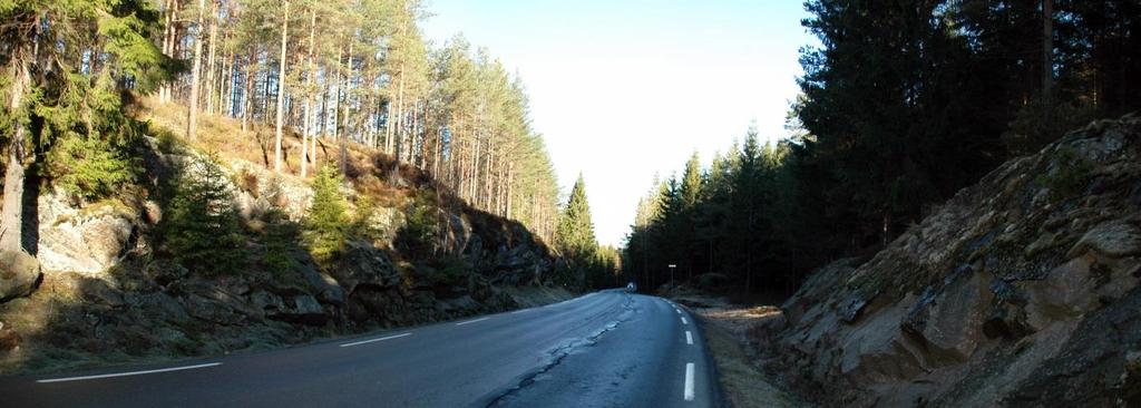 5.2 Dagens arealbruk, tilstøtende arealbruk og stedets karakter Langsmed dagens fylkesveg er det hovedsakelig tett skog.