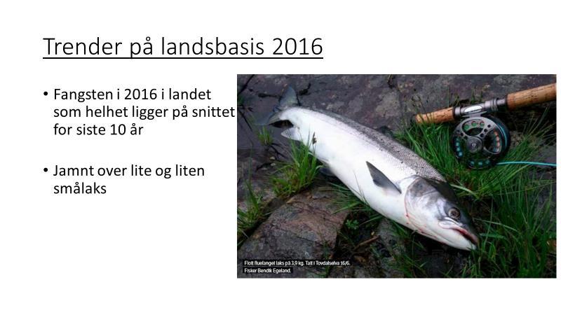 Registrert fangst av laks i Lågen og i munningsområdet siden 1894 t.o.m 2016 målt i antall kg rapportert fisk (basert på laksestyrets protokoller fram til 1992).