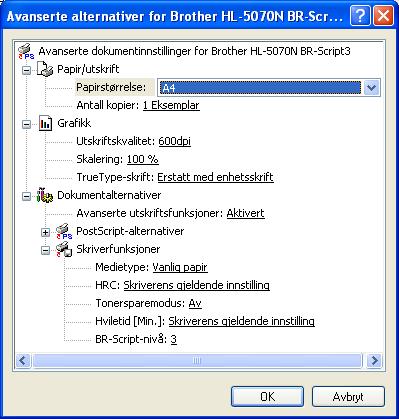 Avanserte alternativer Hvis du bruker Windows NT 4.