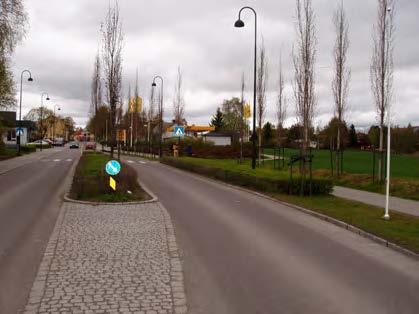 Dagens artsvalg i sentrum Mange trær og busker Generelt er det litt for mange trær og busker av samme art i sentrum. Det finnes f. eks. 40 trær av svenskeasal. Denne arten er størst i antall.