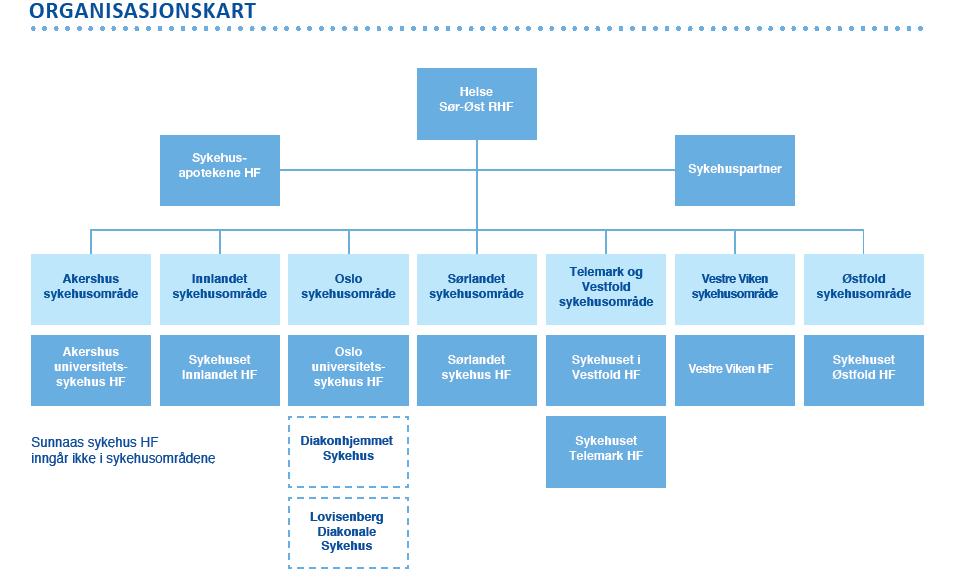 Figur 9-3 Organisasjonskart for Helse Sør-Øst 9.5.1.