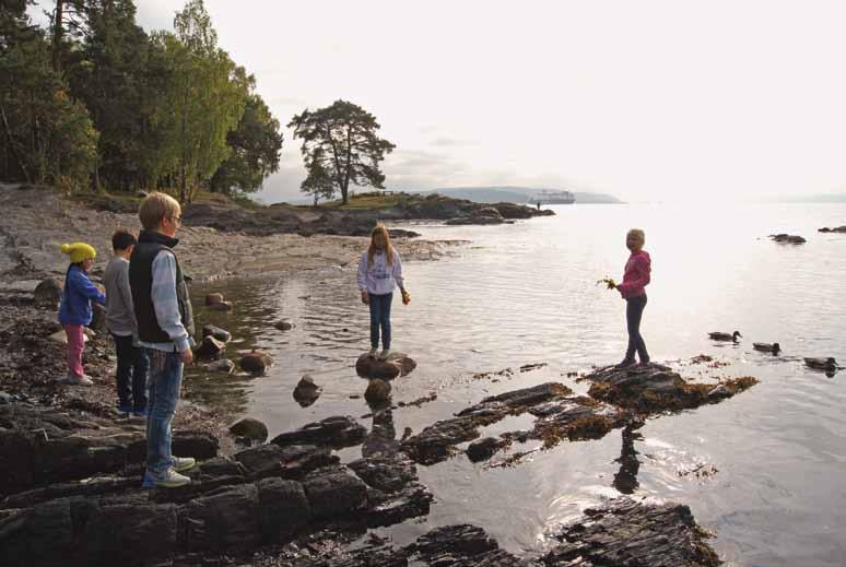 KART SIDE 32 Natur- og kulturkart Kongeskogen Hilde Friis Solås