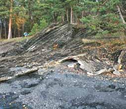 Kom og utforsk: Planter og dyr, Historie og Geologi.