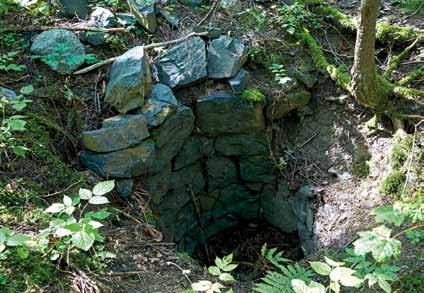 Da Kongevillaene ble bygget ble det lagt rør fra et vannbasseng midt i Kongeskogen. Det var også dammer ved Strømsborg.