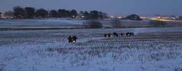 Ski og akedag i barnehagen Ofte er vinteren snøfattig i Sandefjord, men når snøen dukker opp og vi får fine ski og akeforhold, arrangerer vi felles