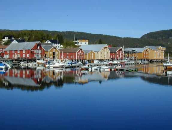 Langs med bryggene er det også mye annen gammel trehusbebyggelse fra samme tidsrom. Deriblant gammel boligbebyggelse. I tillegg ligger det en småbåthavn nært bryggene.