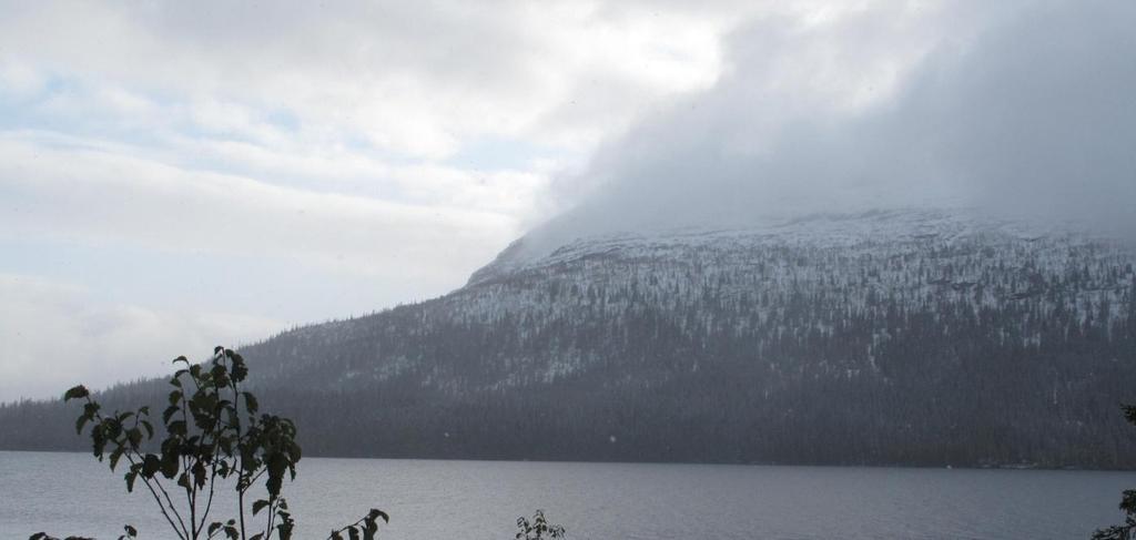 Figur 10. Deler av Tunnsjøgudens nordside sett fra nord. Bildet er tatt dagen registreringen og etter et tung snøfall. Figur 11. De nordvestre deler av øya sett fra nord.