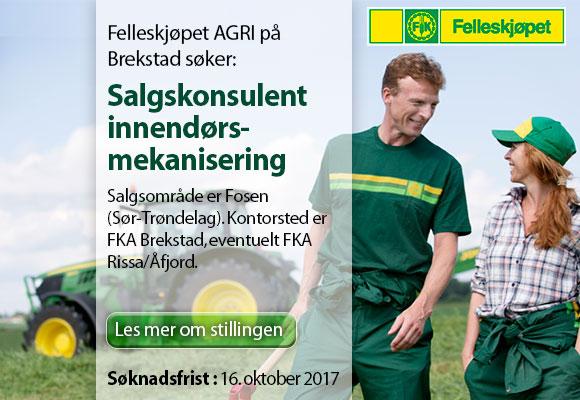 Kjører med kun én ferge Bedriftsbesøk Når Fosna-Folket møter Stene, kommer han fra et bedriftsbesøk på Ørlandet.