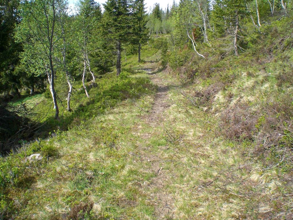 Beliggenhet og historie Imtjønnsetran kalles i dag Grandsetran og ligger på Leksvik bygdeallmenning i Leksvik kommune.