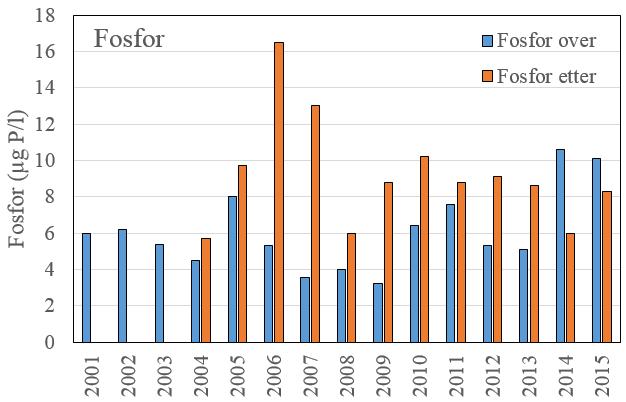 Renseanlegget har i 2015 hatt en rensegrad for fosfor som er svært god, men hydrologisk belastning øker jevnt år for år.