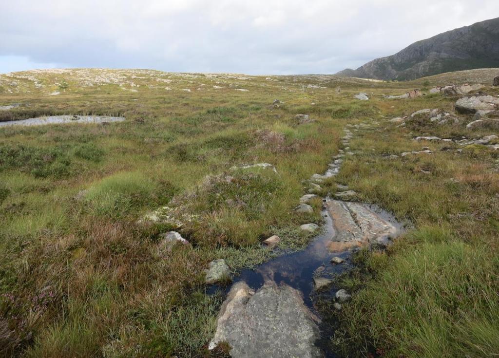 Bilder Figur 5. Øverst: Kystlyngheia ved Pålodden sett østover.