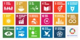 Global goals Implications for municipalities Local conditions and goals Vision Planning