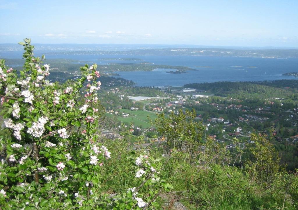 The Oslo region is growing rapidly; from 1,27 mill. today, to 1,62 mill. in 2040 (increase = + 350.
