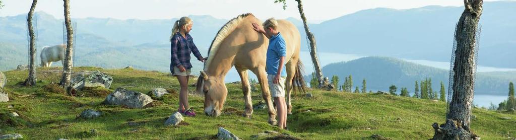 INNHOLD CH/visitnorway.