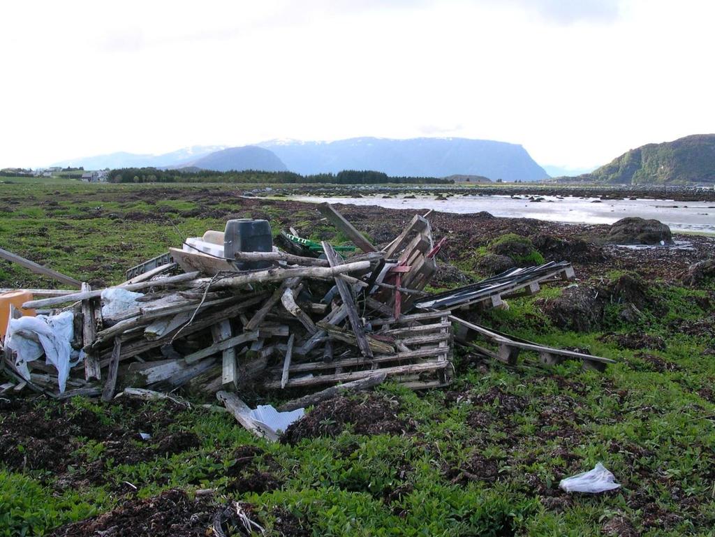 Figur 6. Det driver på land betydelige mengder plast og rekved. Foto: Dag Holtan. 2.3.