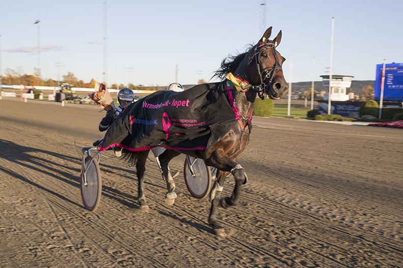 GRATIS INNGANG Nr 89/0 Kr 5 Varmingsinfo fra Ole Jonny Solberg Foto: Hesteguiden.