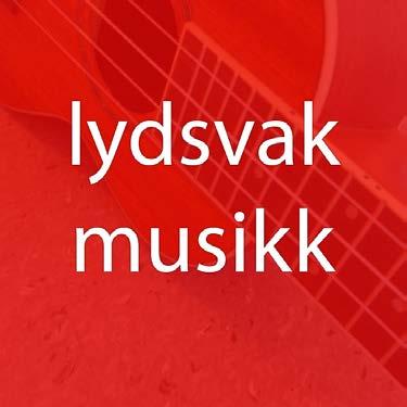 Akustisk storband Musikk med