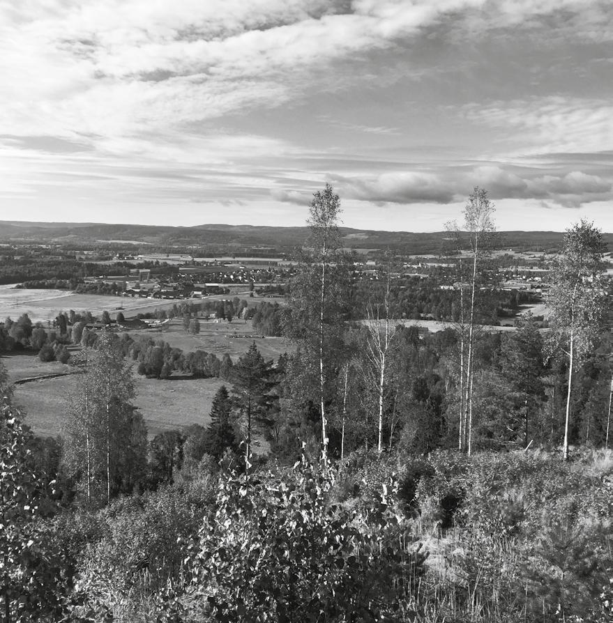 Bo og bygge i Grue I Grue kommune er det plass til flere, både fastboende, hytteeiere og firmaer. Grue tilbyr et kompakt liv.