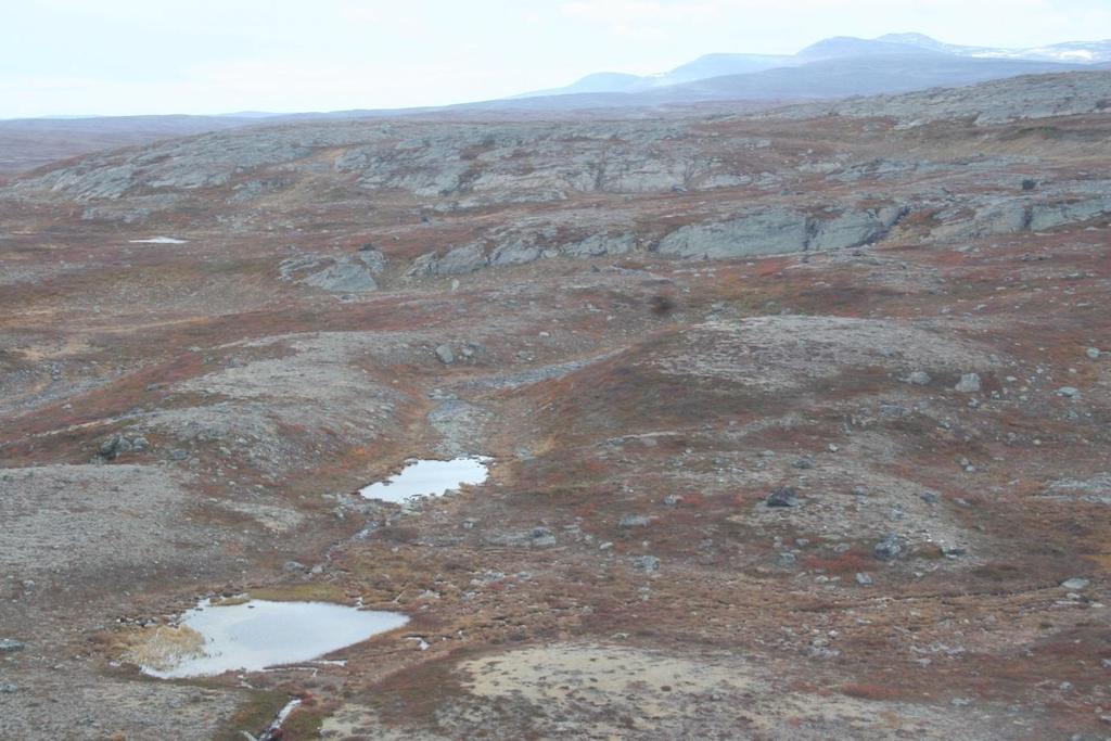 Konsekvensutredning for reingjerde mellom Rv 98 Ifjord - Darjohka 27 Finnmark. Elvene Gaskkamus Borsejohka og Máttimus Borsejohka, samt mer frodig vegetasjon gir variasjon i landskapsbildet.