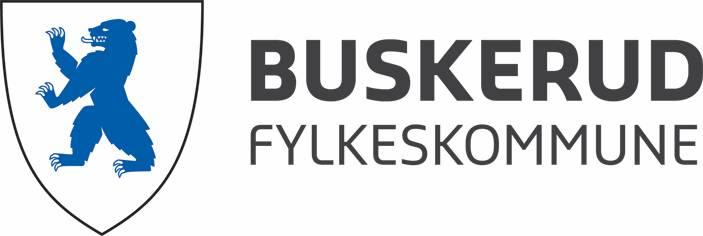 Saksframlegg Vår saksbehandler Hilde Reine, tlf. 32 80 86 61 Vår referanse 2008/564-106 UTVALG UTVALGSSAK MØTEDATO Fylkesutvalget 106/15 25.11.