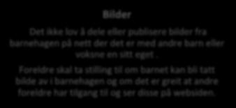 Foreldre skal ta stilling til om barnet kan bli tatt bilde av i barnehagen og om det er greit at andre foreldre har tilgang til og ser