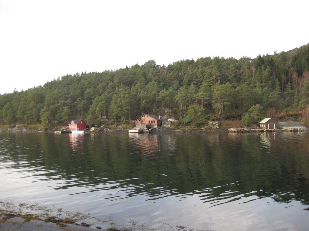 Planområdet ligg på nordsida av Landavågen, mellom fylkesvegen og sjøen. Terrenget stig jamnt opp frå sjøen. Området er for det meste skogkledd, med naturleg furu- og planta granskog.