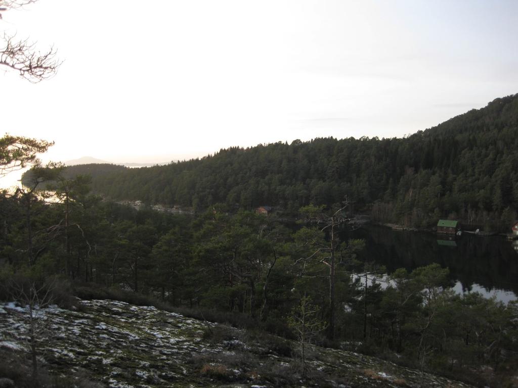 5 2.6 Funksjonell strandsone. Det er ca. 390 m strandline innanfor planområdet. Strandsona er delvis nedbygd med fritidshus, naust og brygger. Andre deler er nytta til friluftsliv.