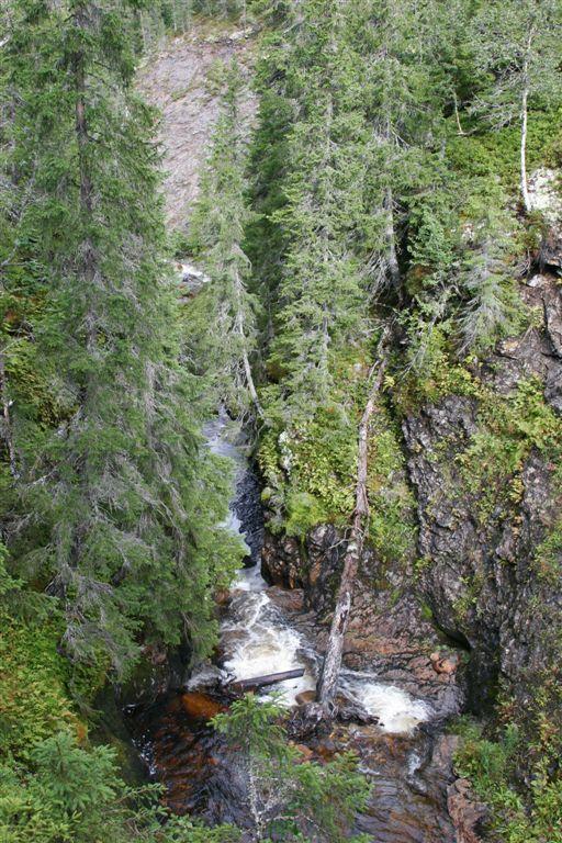 Bilder fra området Drøydalen Trangt og